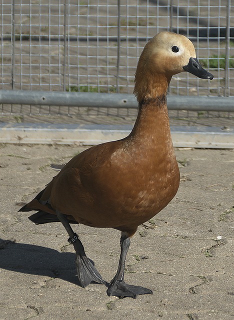 谢文能