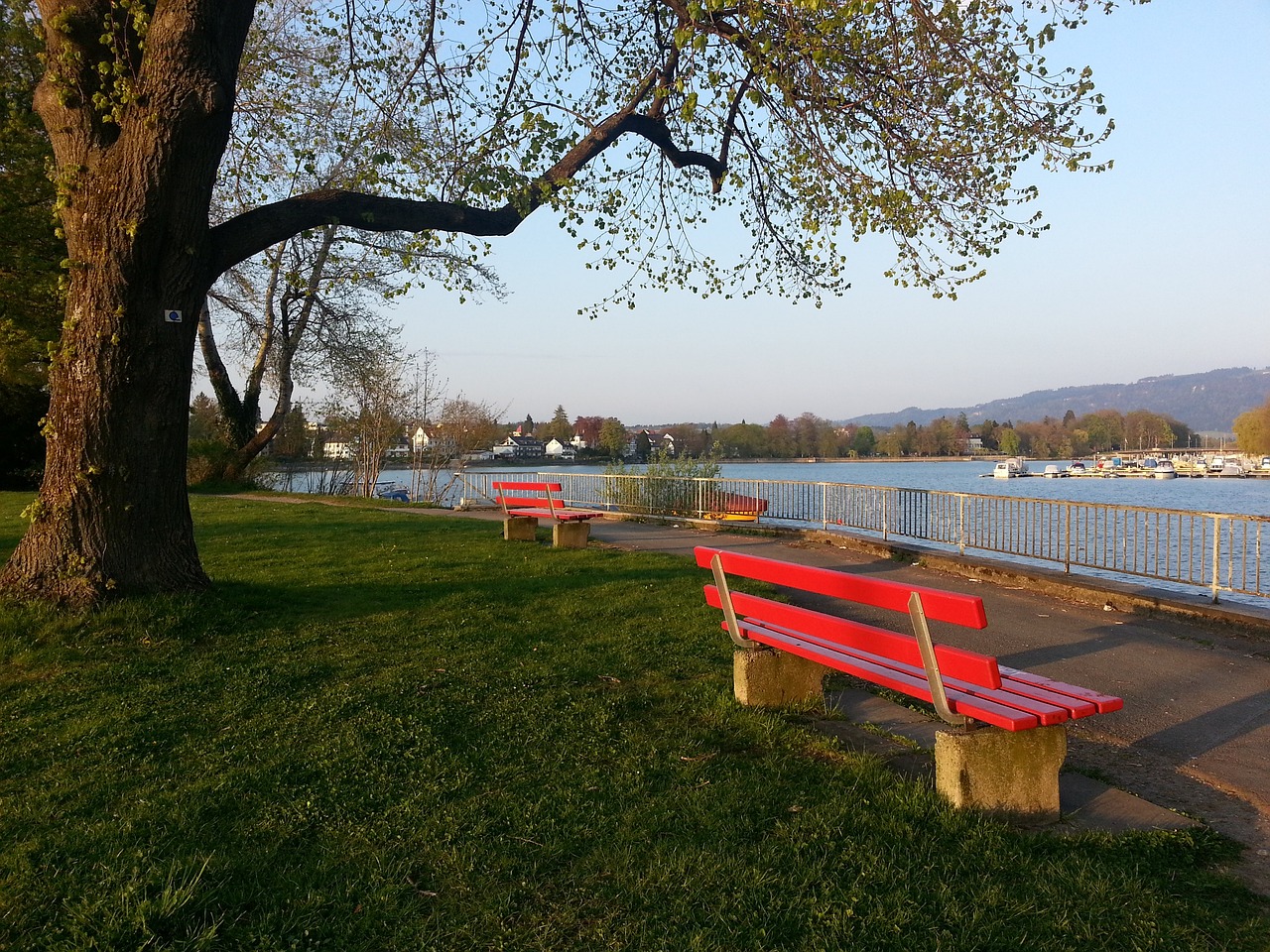 这正是巴特 这正是巴特