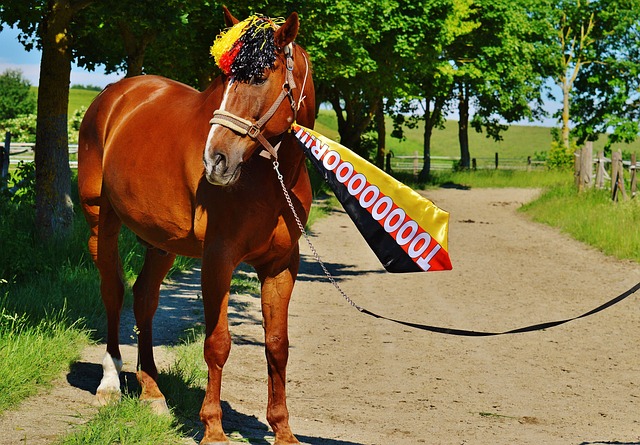 补球员们同 补球员们同