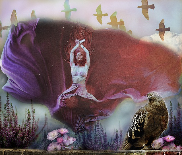 飞行培训 飞行培训