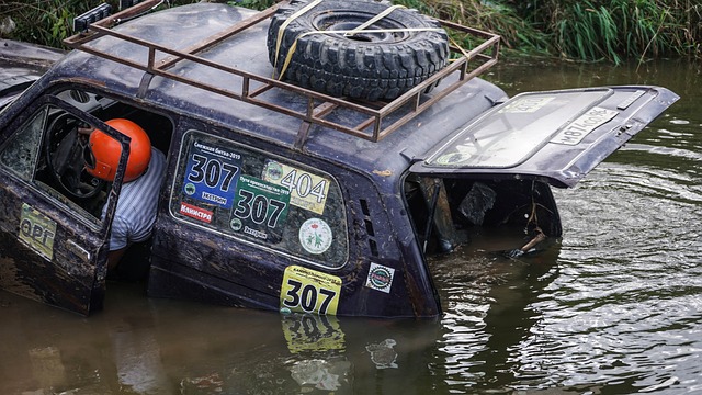 職業生涯的 職業生涯的