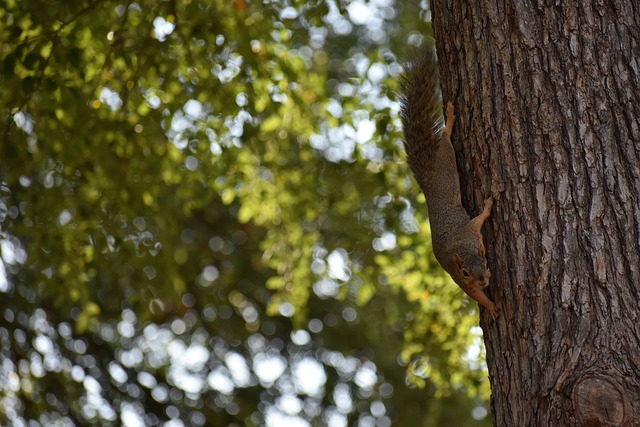 保护性接应 保护性接应