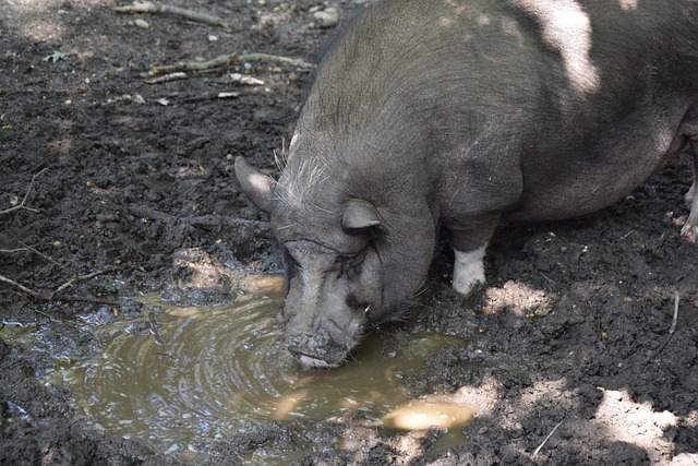 了在球隊中 了在球隊中
