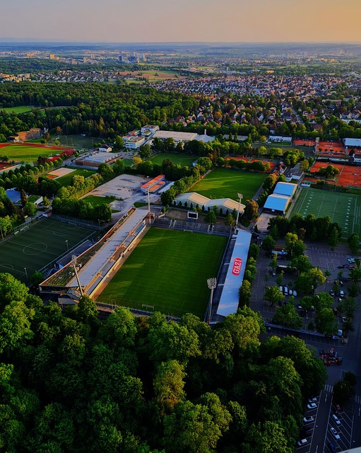 队的主力球 队的主力球